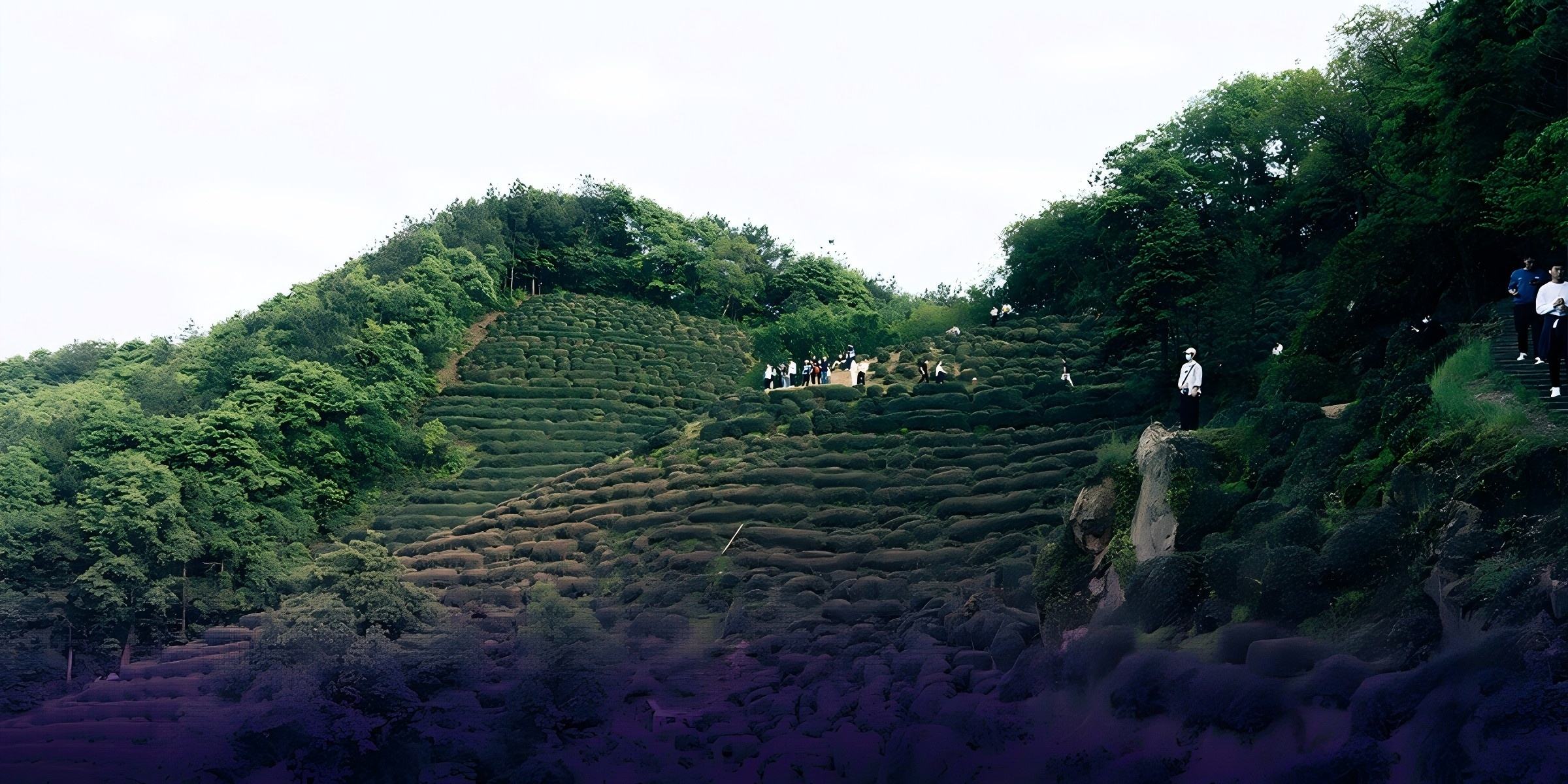 Рашид Алимов | Китайский блокнот. Сон в горах Аньхой